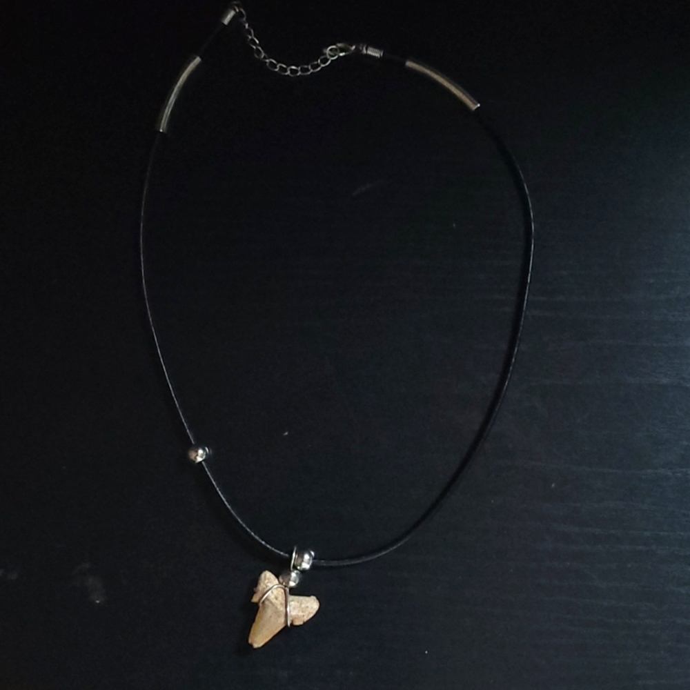 Shark tooth necklace